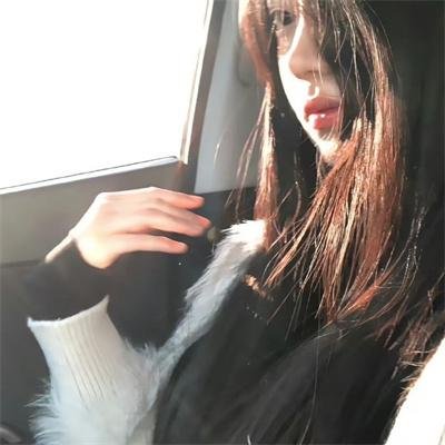 月季花开